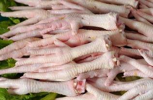 坏鸡爪子爆料视频下载,下载背后的真相与争议 第1张 坏鸡爪子爆料视频下载,下载背后的真相与争议 第1张