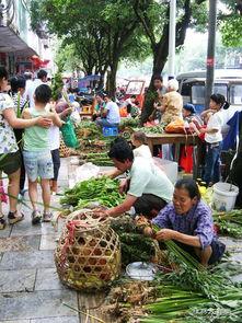 永福县新闻爆料网址,最新动态一网打尽 第3张 永福县新闻爆料网址,最新动态一网打尽 第3张